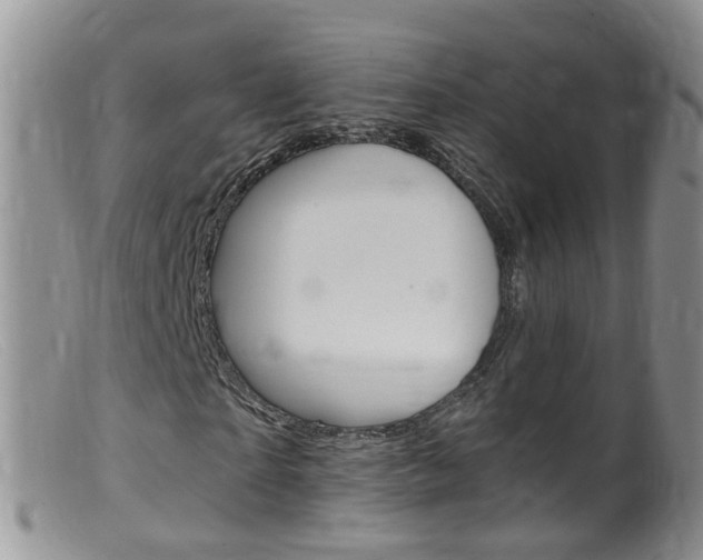 X0000099540865200805160746