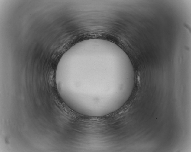 X0000099540867200805160746