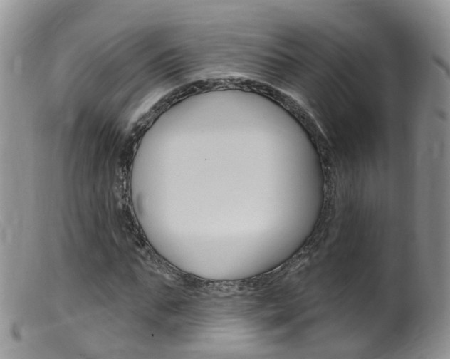 X0000099540871200805160746