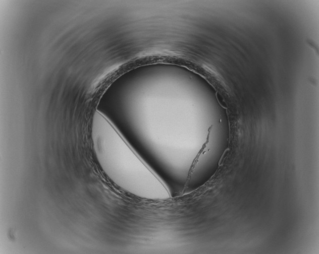 X0000099540872200805160746