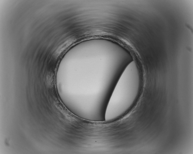 X0000099540873200805160746