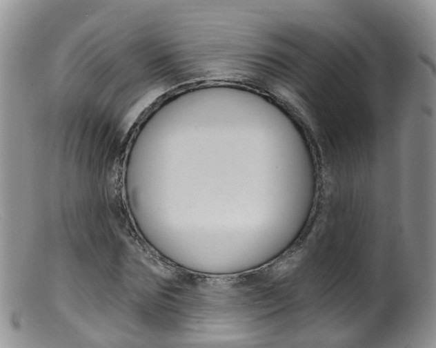X0000099540875200805160746