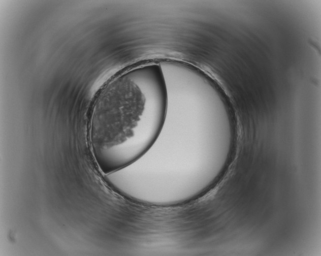 X0000099540877200805160746