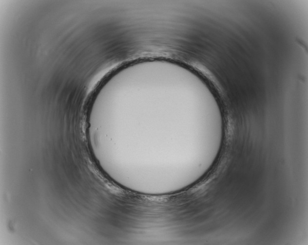 X0000099540878200805160746