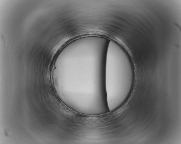 X0000099540883200805160746