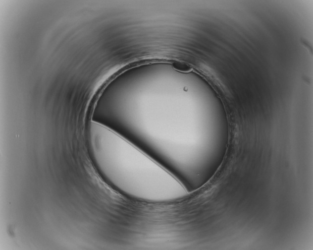 X0000099540884200805160746