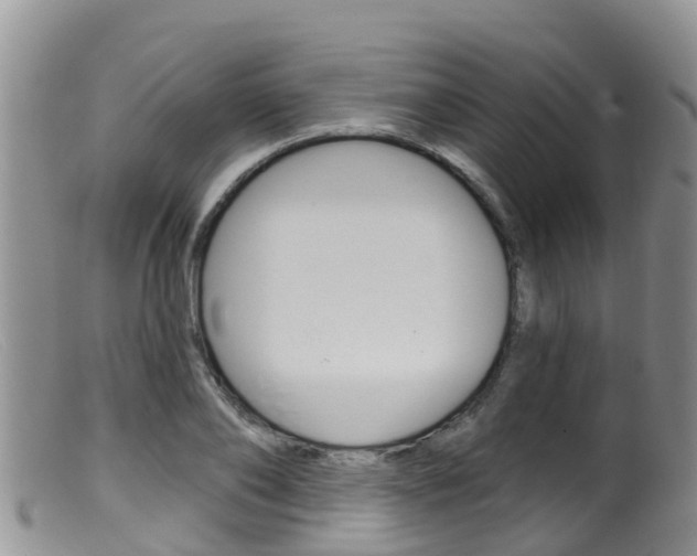 X0000099540886200805160746