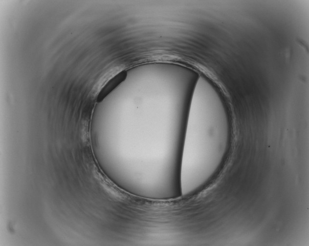 X0000099540889200805160746