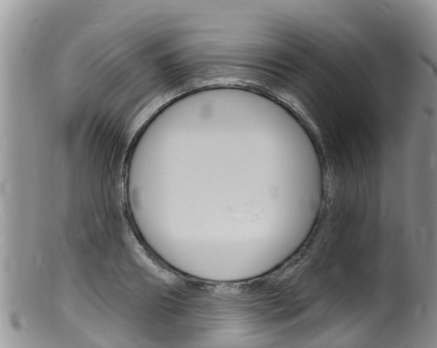 X0000099540890200805160746