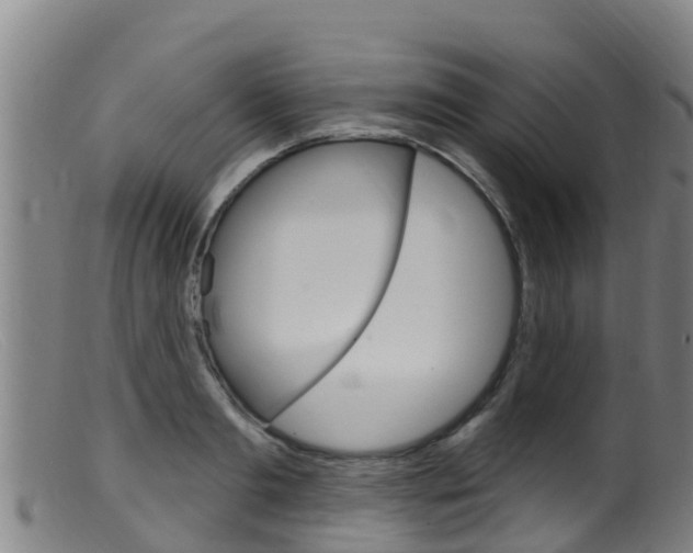 X0000099540893200805160746