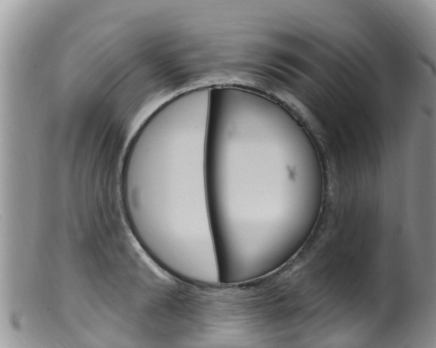 X0000099540894200805160746