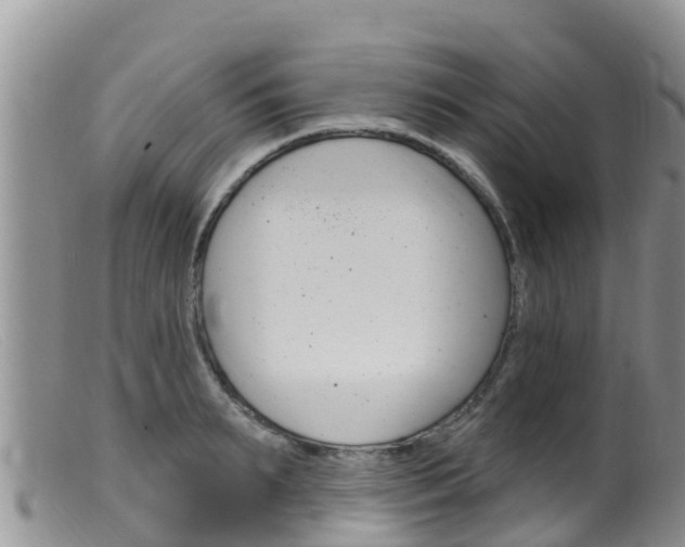 X0000099540895200805160746