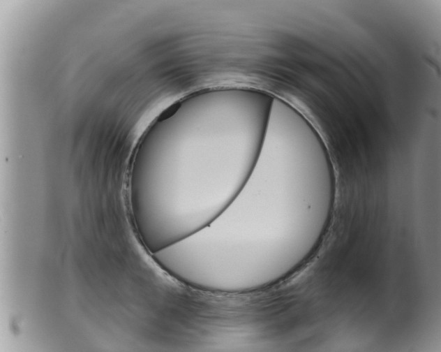 X0000099540901200805160746