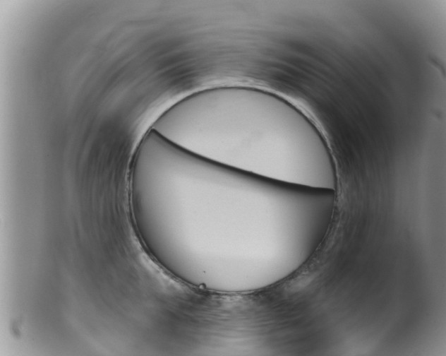 X0000099540903200805160746
