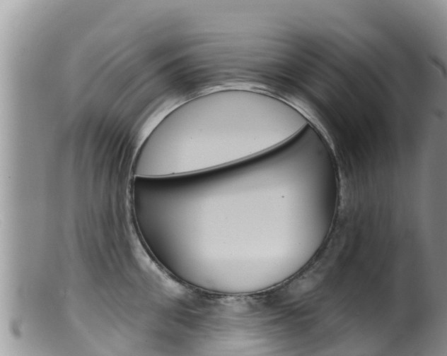 X0000099540906200805160745