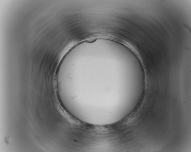 X0000099540907200805160745