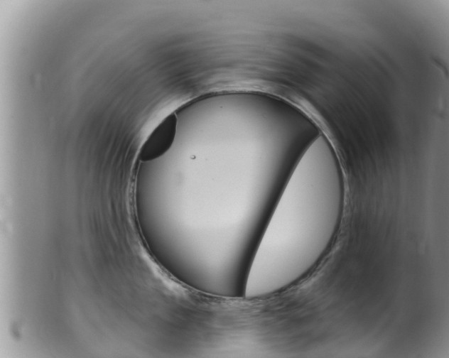 X0000099540909200805160745