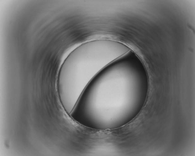X0000099540912200805160745