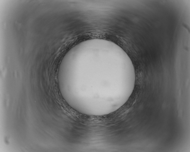 X0000099540913200805160745