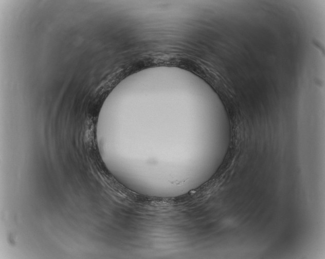 X0000099540914200805160745