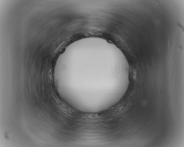 X0000099540915200805160745