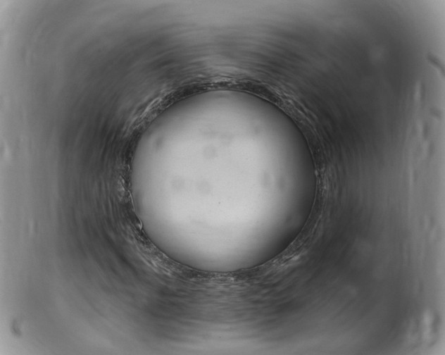 X0000099540916200805160745