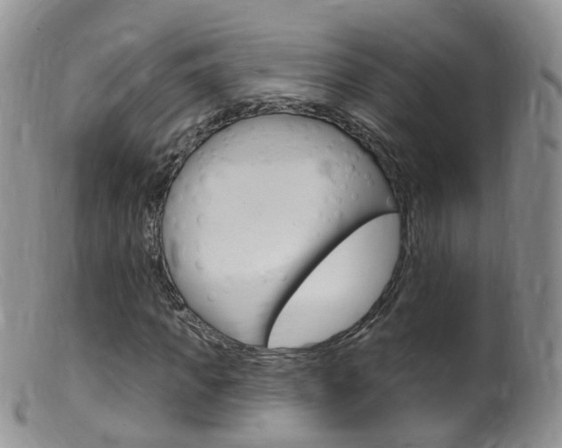 X0000099540917200805160745