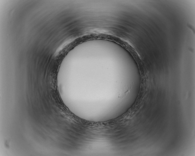 X0000099540919200805160745