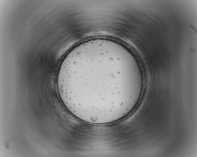 X0000099540921200805160745