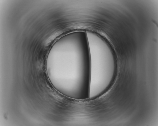 X0000099540922200805160745