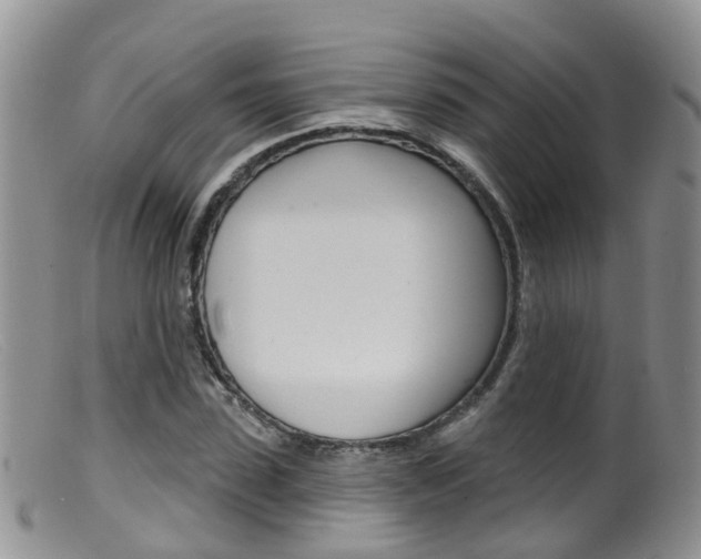 X0000099540923200805160745