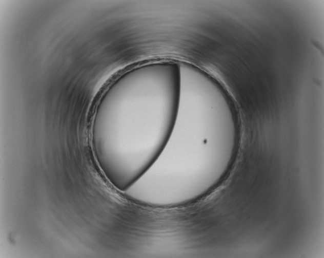 X0000099540924200805160745
