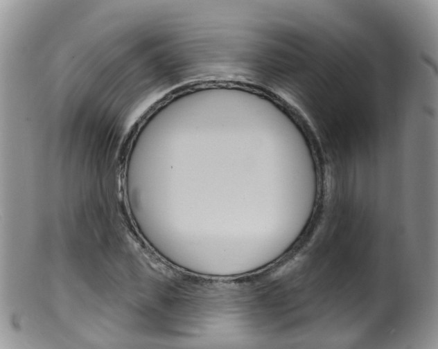 X0000099540925200805160745