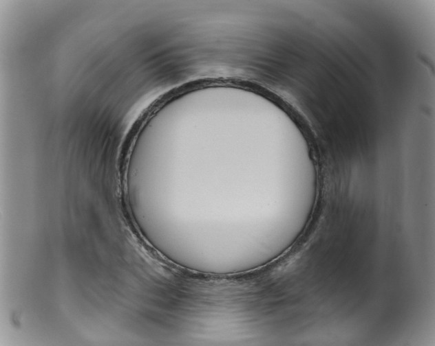 X0000099540927200805160745