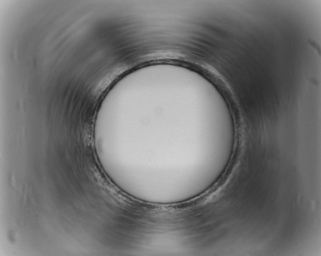 X0000099540929200805160745