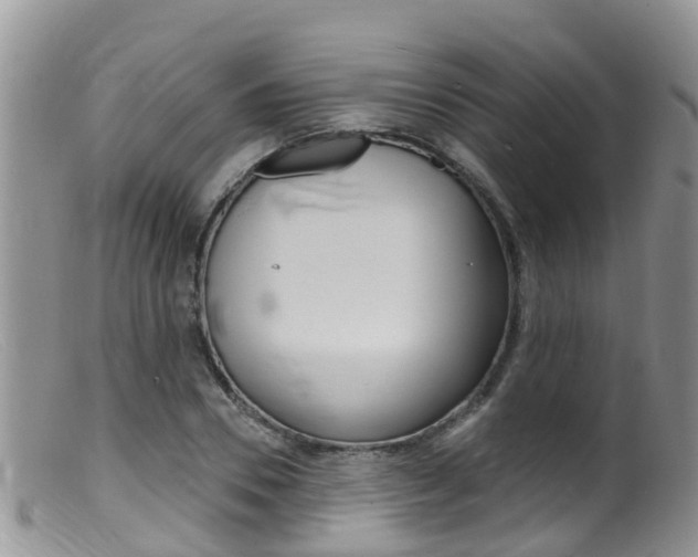 X0000099540930200805160745
