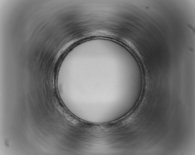 X0000099540931200805160745