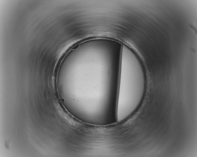 X0000099540932200805160745