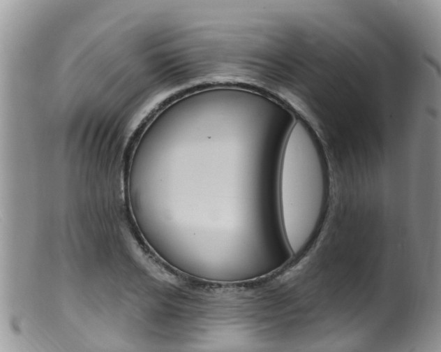 X0000099540934200805160745