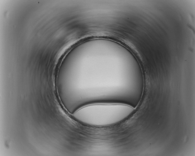 X0000099540935200805160745