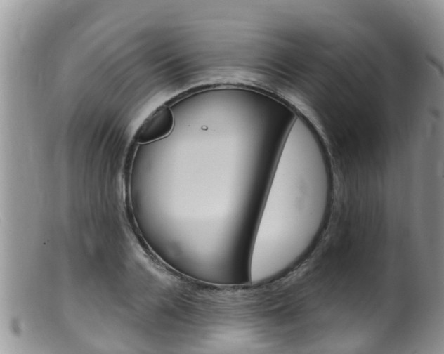 X0000099540936200805160745