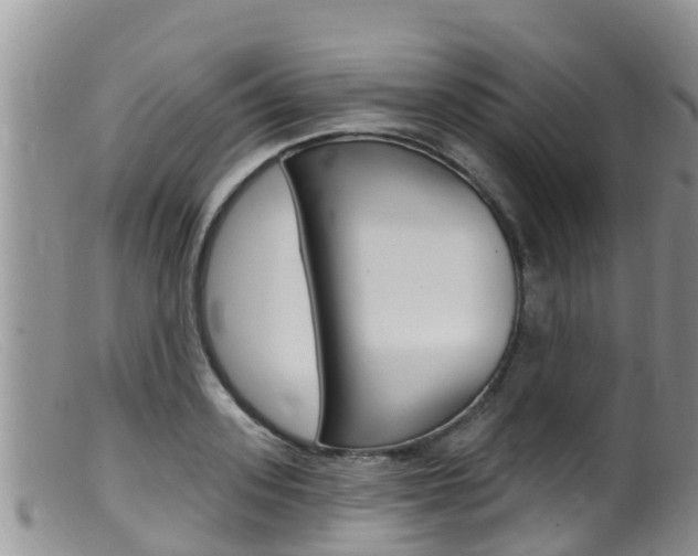 X0000099540939200805160745