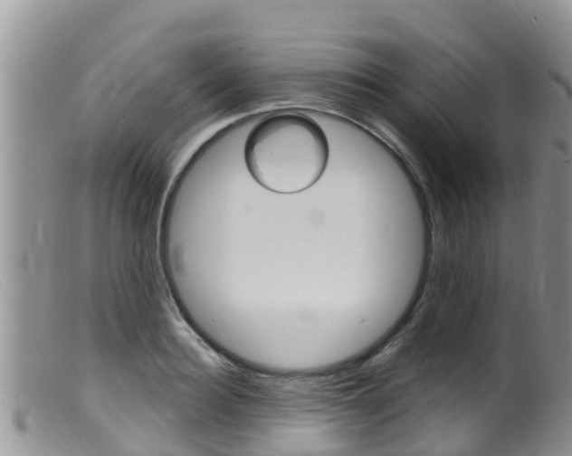 X0000099540940200805160745