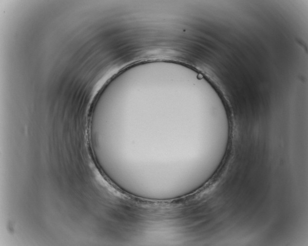 X0000099540941200805160745