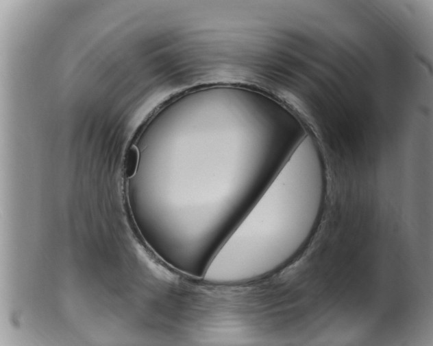 X0000099540942200805160745