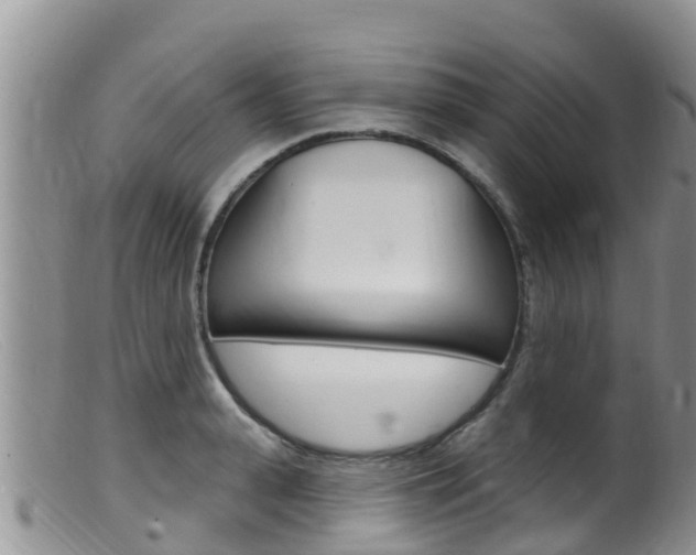X0000099540943200805160745