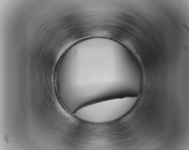 X0000099540947200805160745