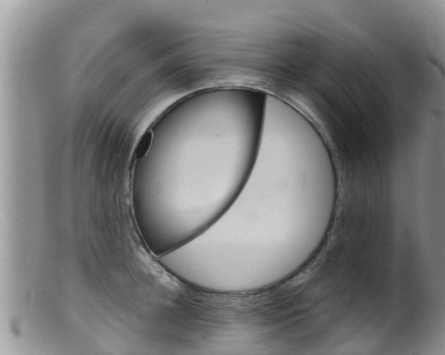 X0000099540948200805160745