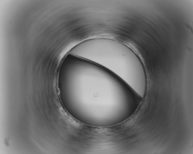 X0000099540952200805160745
