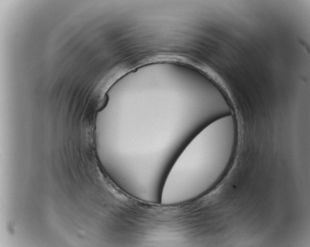 X0000099540953200805160745